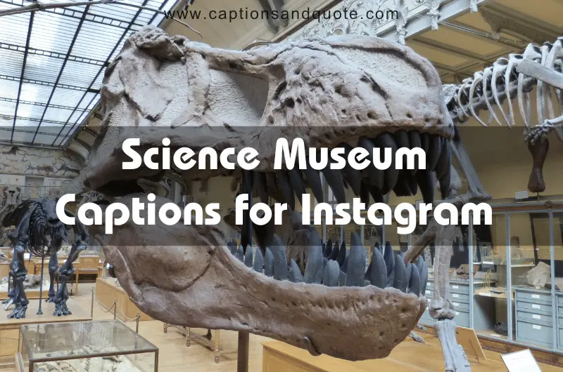 Science Museum Captions for Instagram