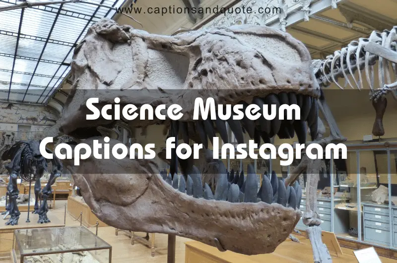 Science Museum Captions For Instagram