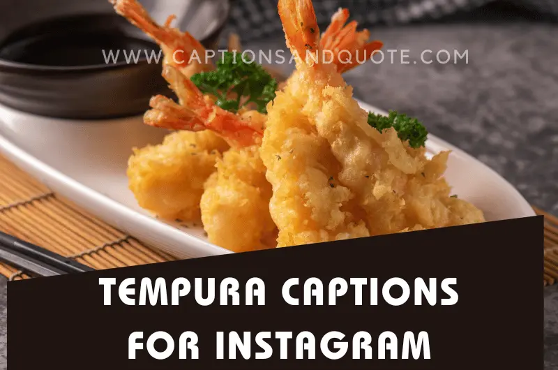 Tempura Captions for Instagram