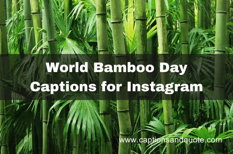World Bamboo Day Captions for Instagram