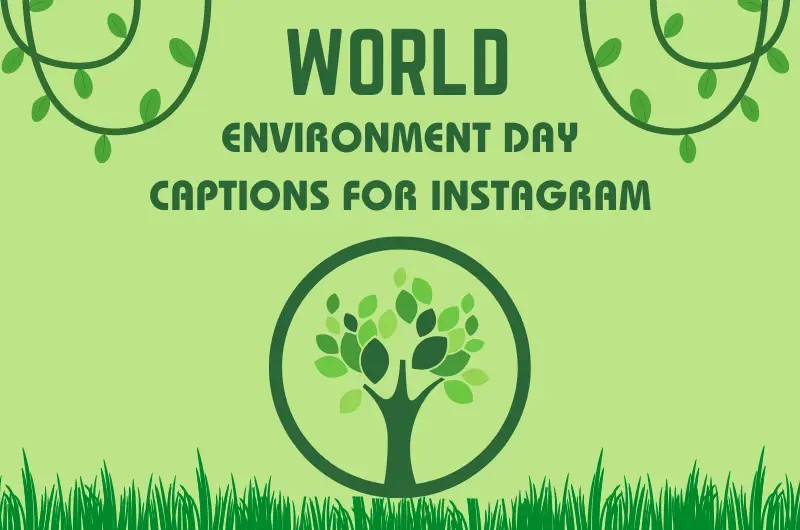World Environment Day Captions for Instagram