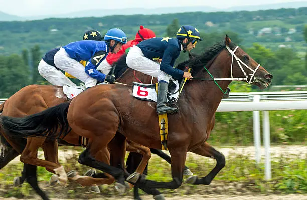 Horse Racing Betting Websites in Thailand