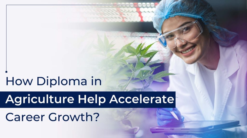 How Diploma in Agriculture Help Accelerate Career Growth?