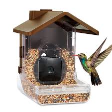 bird feeder with camera